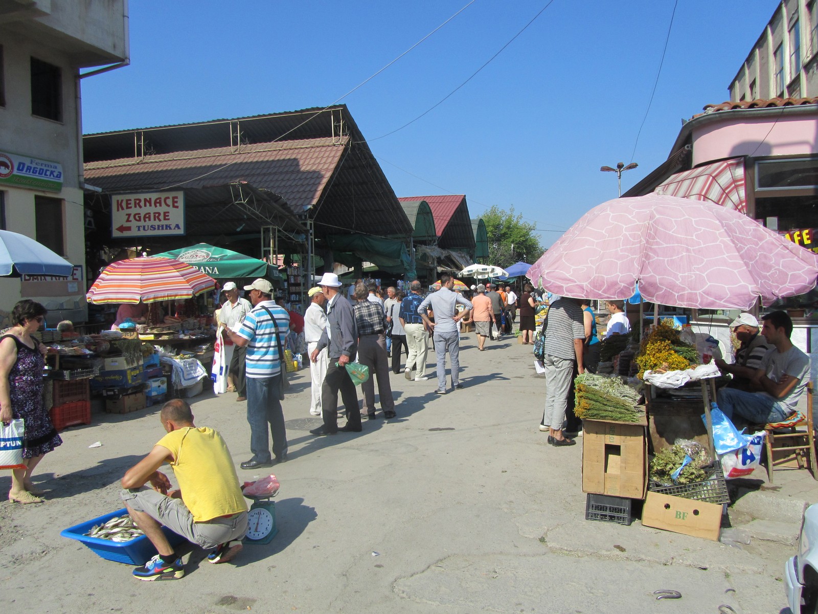 Lebendiger Markt in Korca - Lupe Reisen