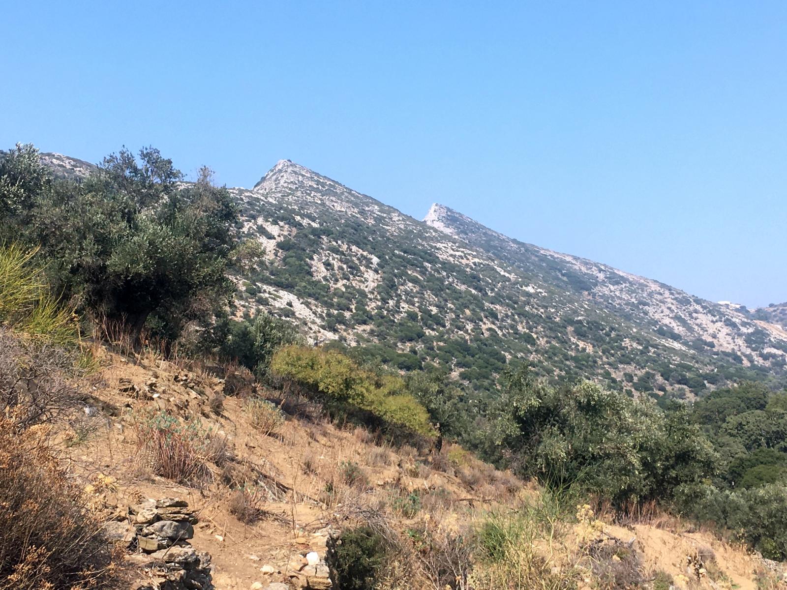 Foto: In der Berglandschaft von Naxos - Lupe Reisen