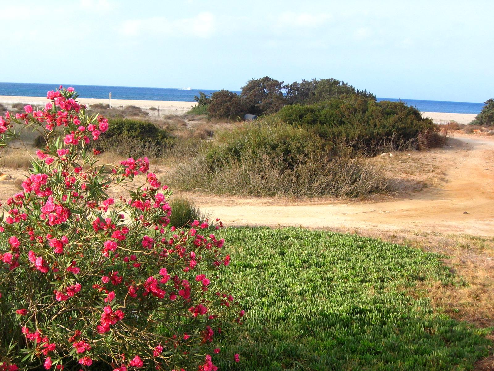 Foto: Naturnahe Kstenlandschaft im Sden von Naxos - Lupe Reisen