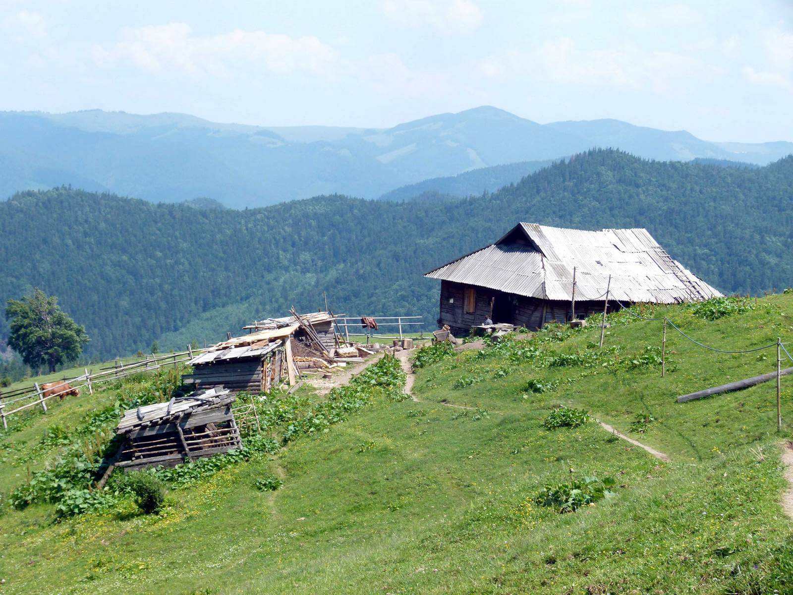 Foto Bergbauernhof im Tschornohora-Massiv - Lupe Reisen