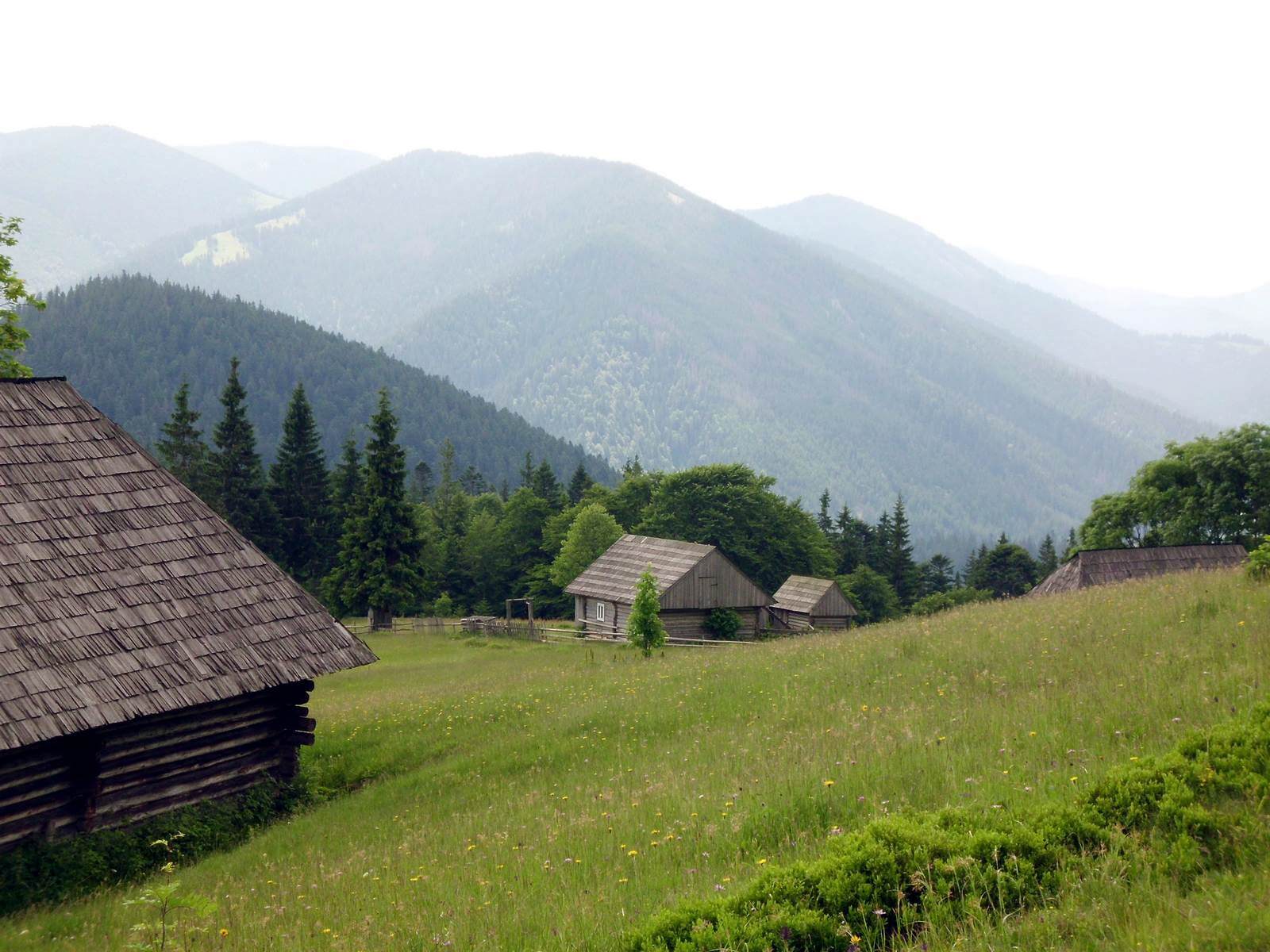 Foto Bewirtschaftete Alm im Tschornohora-Massiv - Lupe Reisen